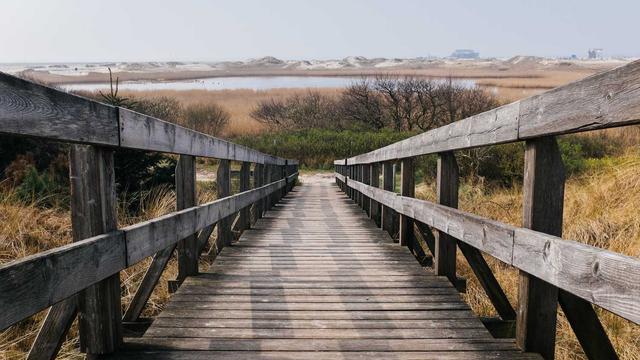 yoga meditation anxiety release