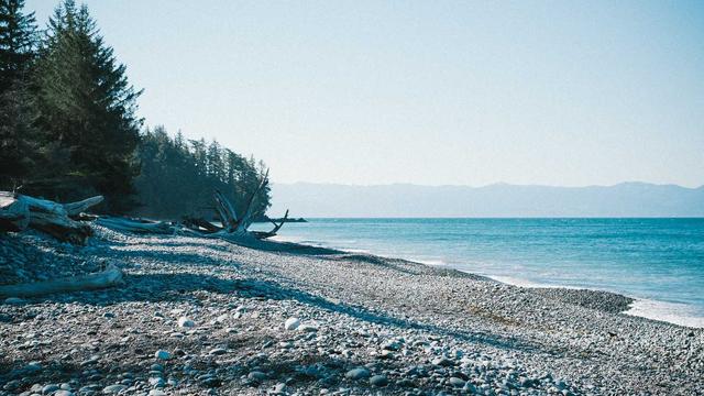 Discover Your Soul's True Purpose With T